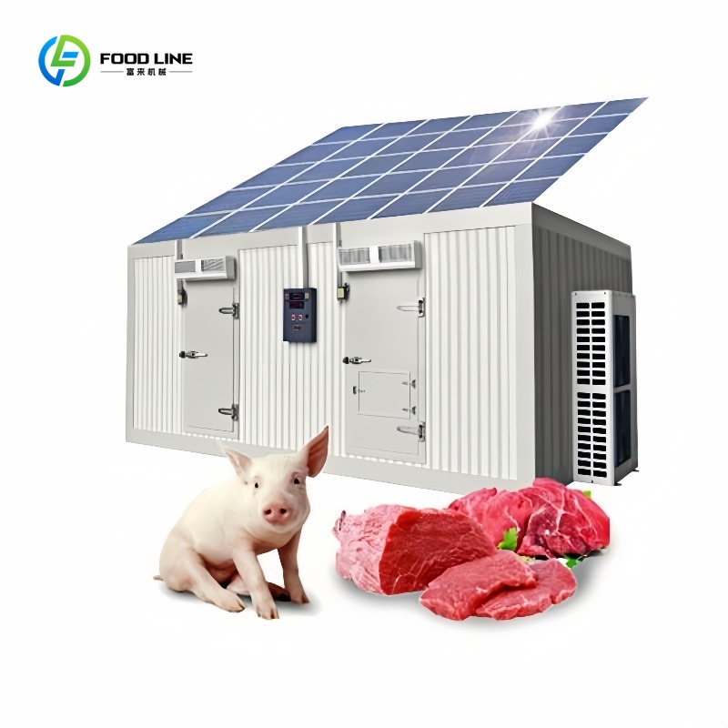 Food Storage In Room - Commercial 20Ft Solar Freezer Container Cold