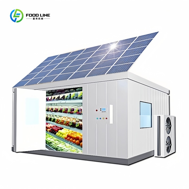 Commercial 20Ft Solar Freezer  - огляд і ціна Food Storage In Room